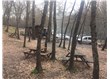 Haftasonu Belgrad Ormanı mangal keyfi