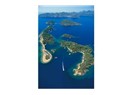 Üniversite ve Milli Eğitim