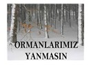 Ormanlar yanarken içimiz de yanıyor