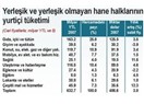 Türkiye hane harcamaları 2007