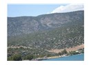 Siyah (Bakar kör, okur kör)