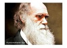 Darwin Evrim kuramıyla hangi Tanrı anlayışını yıkıyor?