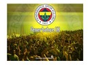 1974 Muhammed Ali, 2008 Fenerbahçe...
