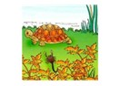 Akrep ile kaplumbağa