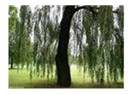 Sol açılımlarını yapmalı, halka anlatmalı