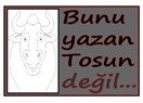 Bunu yazan Tosun değil...