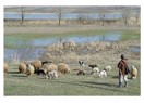 Dünyanın en gözde mesleği!