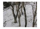 Ankara’ya kar yağdı