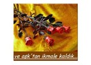 Hayat hattında acemi tayfalardık ne avunduk savaş müsveddeleriyle ve aşk'tan ikmale kaldık