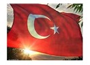 Bu insanlık suçu ne zaman bitecek?