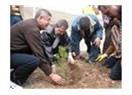 Milli ağaçlandırma seferberliği...