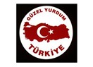 Kınarken, kanıyor çiçeklerim...