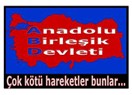 Anadolu Birleşik Devleti...