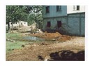 Hayvancılık işletmelerinde gübrenin yarattığı çevre kirliliği