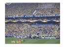 Fenerbahçe'de Zico ve Özgüven