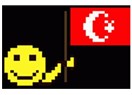 Küçük kitabın büyük yalanları!