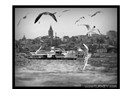 Galata Jazz