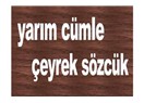 Yarım cümleyle konuşmak ve çeyrek sözcüklerle yazmak