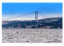 Sevgili İstanbul...