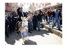 Keko Zeki'nin Eşeği...
