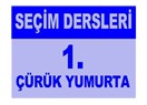 Siyasetçiler için seçim dersleri 1: çürük yumurta benzetmesi