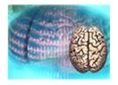 İki ayrı uzman: Sağ ve sol beyin yarımkürelerimiz