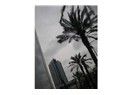 "Ihlamurlar Altında" Dubai'de,  Ihlamur palmiyeler altında!