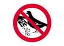 Şehir güvercinlerini yemlemeyin