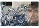 Bu ülkede güvercinleri de vuruyorlar Hrant!..