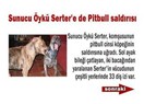 Kepek sorununa ABD’den köpek sorununa Türkiye’den çözüm