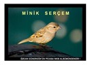 Miniksin ufacıksın