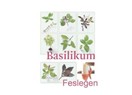 Fesleğen (Ocimum basilicum),