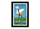 Kuş konulu Cumhuriyet pulları
