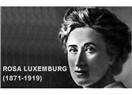 AKP davasının gerekçeli kararında Rosa Luxemburg adı