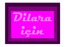 Milliyet blog yazarları Dilara’ yı yazdı