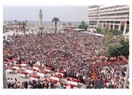 İzmir' in fidanları