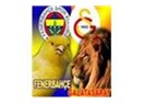 Bugün Fenerbahçe'liyim