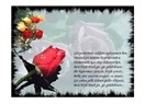 Şarkıların Gizemi...
