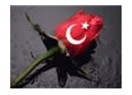 Dev ülke..