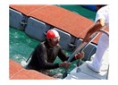 Mersin milletvekili Tüzmen, yüzmede kategorisinde birinci oldu…