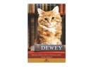 Kütüphane kedisi ''Dewey''