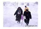 Ardahan'da hayata direnen yürekler
