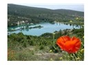Cumartesi pazarı