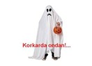 Bizim eve ''Domuz Gribi'' giremez!