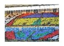 Fenerbahçe, hazırlık maçlarının yıldızı mı olmalı?