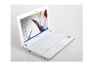 Albenisi yüksek bir netbook:Samsung NC10
