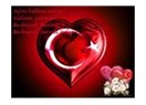 Atatürk'e sizi şikayet ediyorum