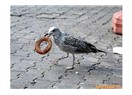 Altıklar 3: Talkın