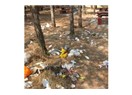 Piknikçiler ve her zamanki çöp sorunumuz