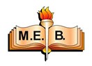 MEB kendi ağını kurmalı